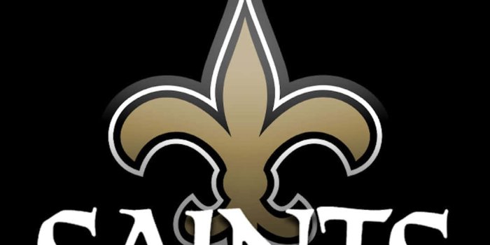 1080x1920 New Orleans Saints Logo Wallpaper