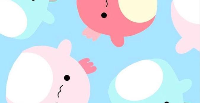 675x1200 Axolotl- Squishmallow Wallpaper Cute