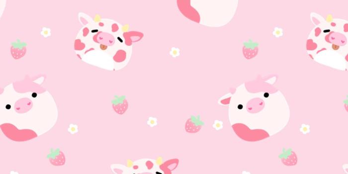 1080x1920 Cute Squishmallows Wallpapers
