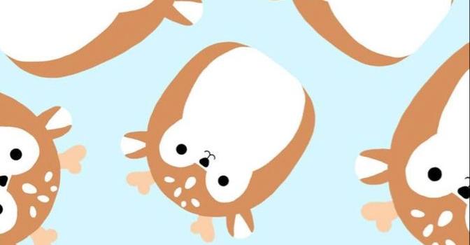 672x1200 26 Squishmallow wallpapers ideas