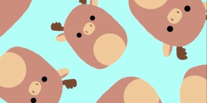 1080x1920 Squishmallow Wallpapers - Top 16 Best