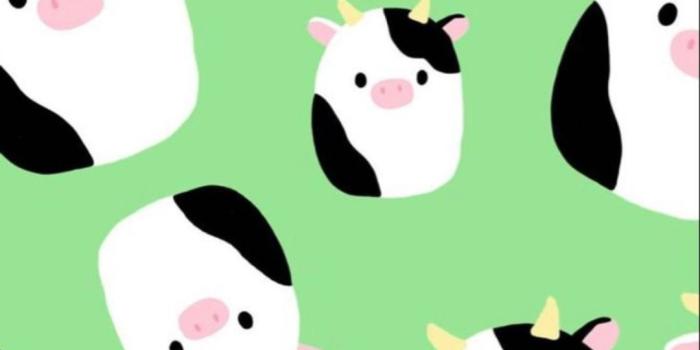 1080x1920 Squishmallow Wallpapers - Top 16 Best