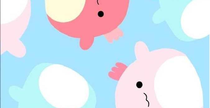 675x1288 Squishmallow Wallpaper - Wallpaper Sun