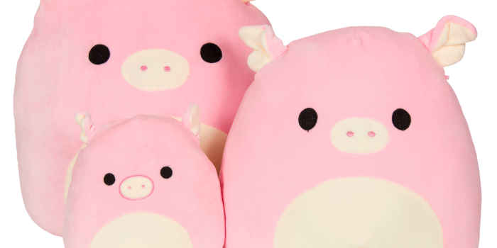 2662x1979 Squishmallows Wallpapers