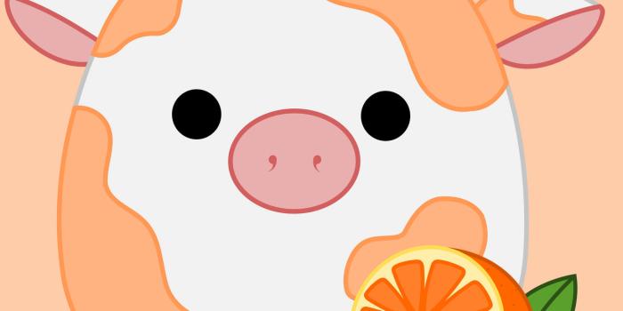 1280x1174 Background Squishmallows Wallpaper