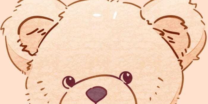 900x1600 bear wallpaper templates