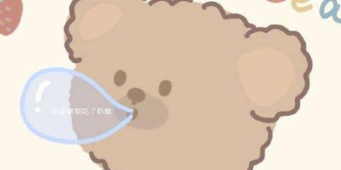 886x1920 Cute Strawberry Korean Bear Wallpaper