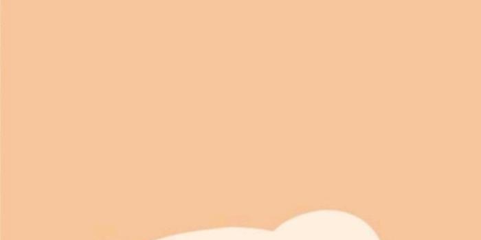 736x1308 Cute bear wallper | Wallpaper iphone