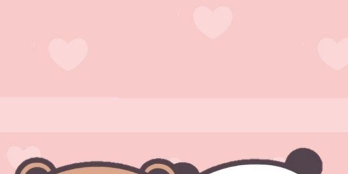 738x1597 Cute White And Brown Bear Wallpaper