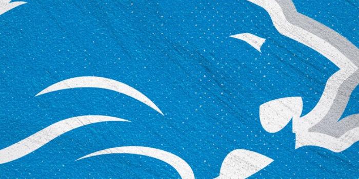 1080x1920 The Official Site of the Detroit Lions