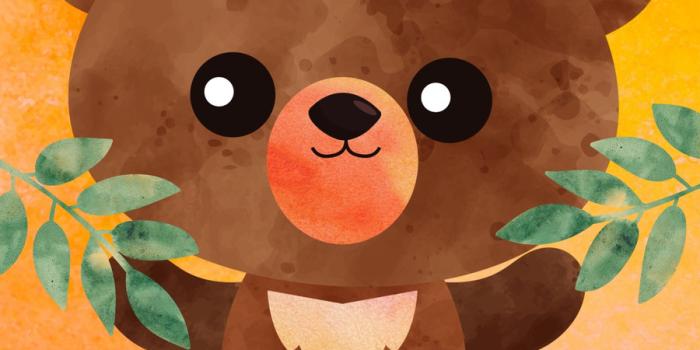 900x1600 bear wallpaper templates