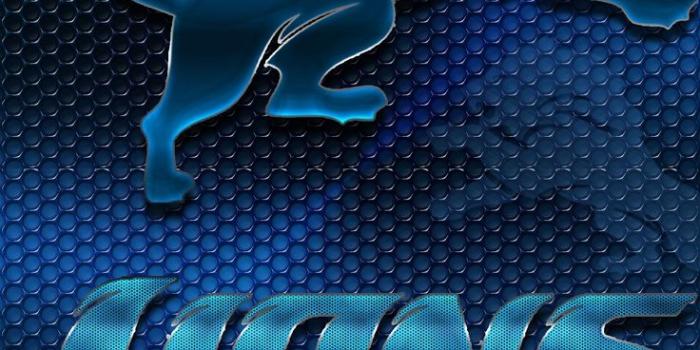 736x1103 Detroit Lions iPhone 5S Wallpapers