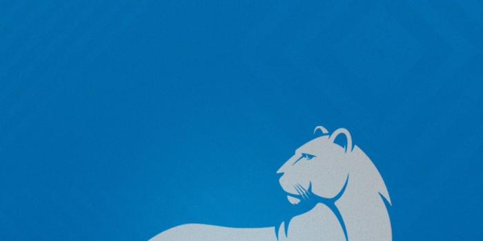 946x2048 Detroit Lions on X: 