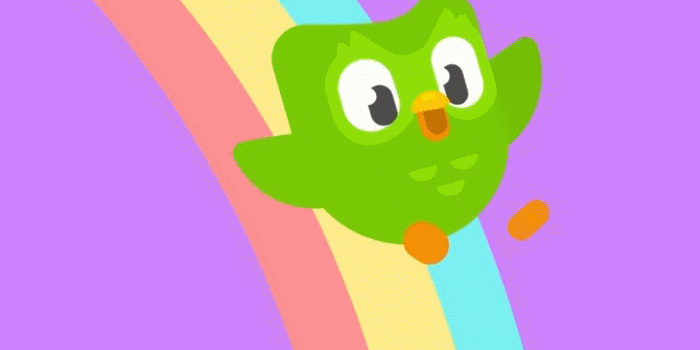 720x1265 Im Need Wallpaper : r/duolingo