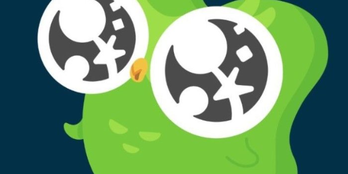 720x1263 Duolingo Wallpaper | Duolingo owl art