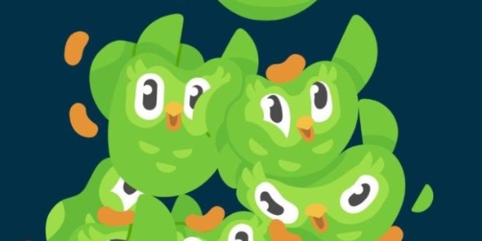720x1275 Duolingo Wallpaper | Duolingo, Duolingo