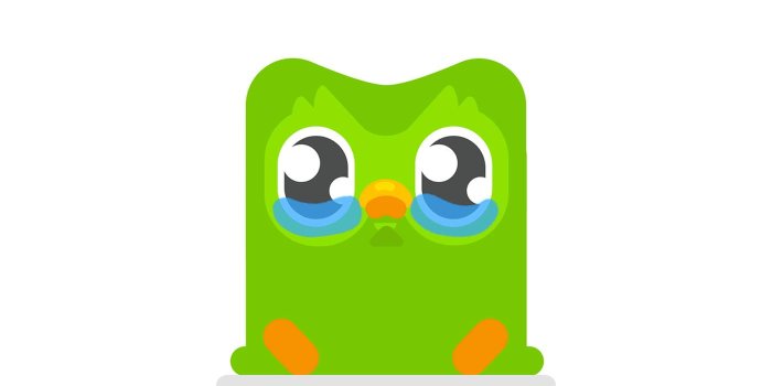 1400x1050 Duolingo Wallpapers