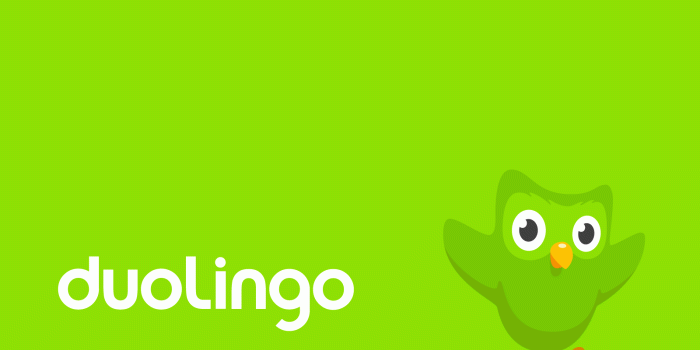 1600x1200 Duolingo Wallpapers