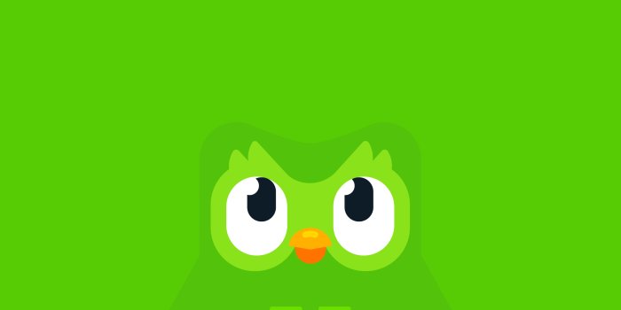 2560x1440 Duolingo – Lara Juriansz