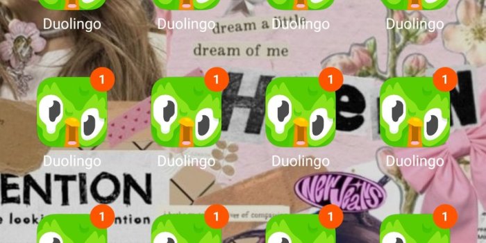 922x2048 Why is the Duolingo app icon new