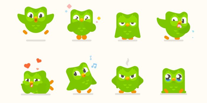 1600x900 the Duolingo Owl