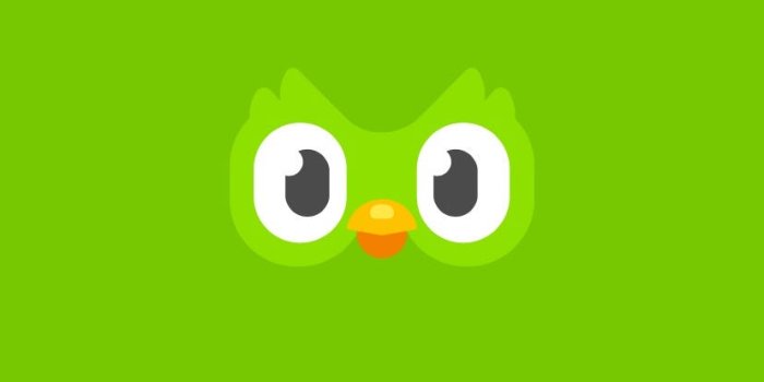 828x1792 My First Usability Review — Duolingo