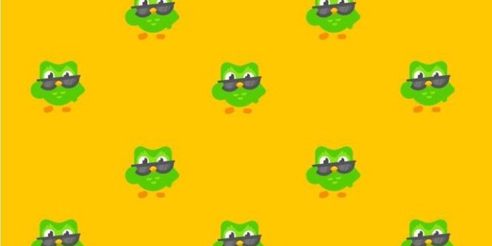 720x1266 Duolingo Wallpaper | Papeis de parede