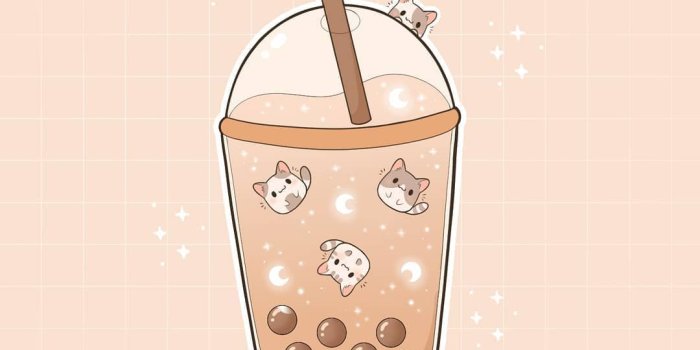 1080x1080 Cats Drinking Boba Wallpapers