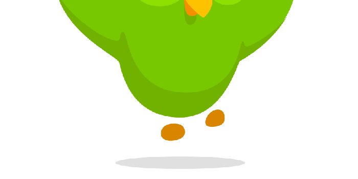 953x1024 Duolingo Wallpapers