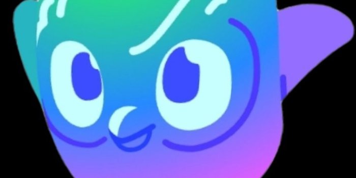 736x1635 Duolingo, Duolingo owl art, Owl wallpaper