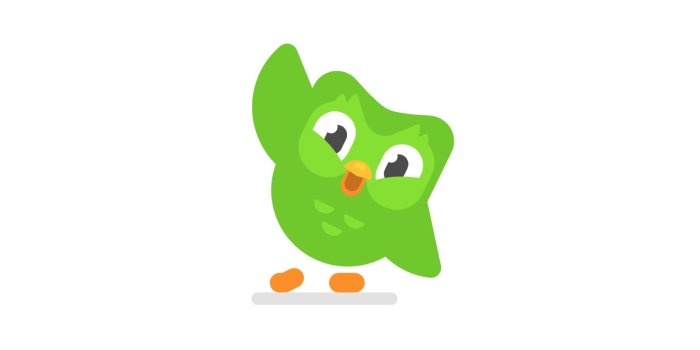 1600x900 Can That Bastard Owl From Duolingo Just