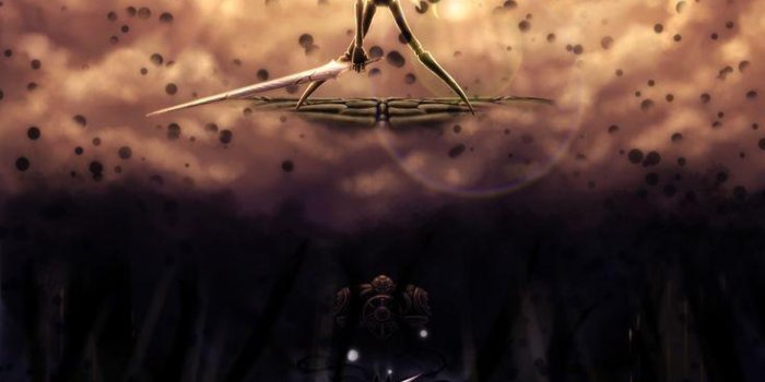 735x1368 unintentional Duolingo wallpaper