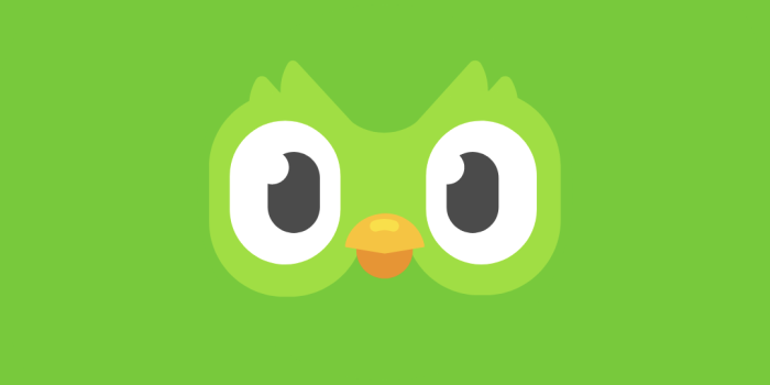 1080x2340 Duolingo Android | Mobbin