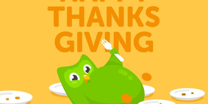 2048x1536 Duolingo Meme Wallpapers