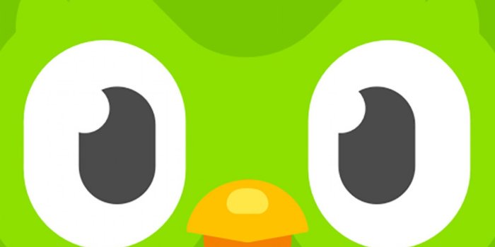 1600x1200 Spanish-Language Curriculum