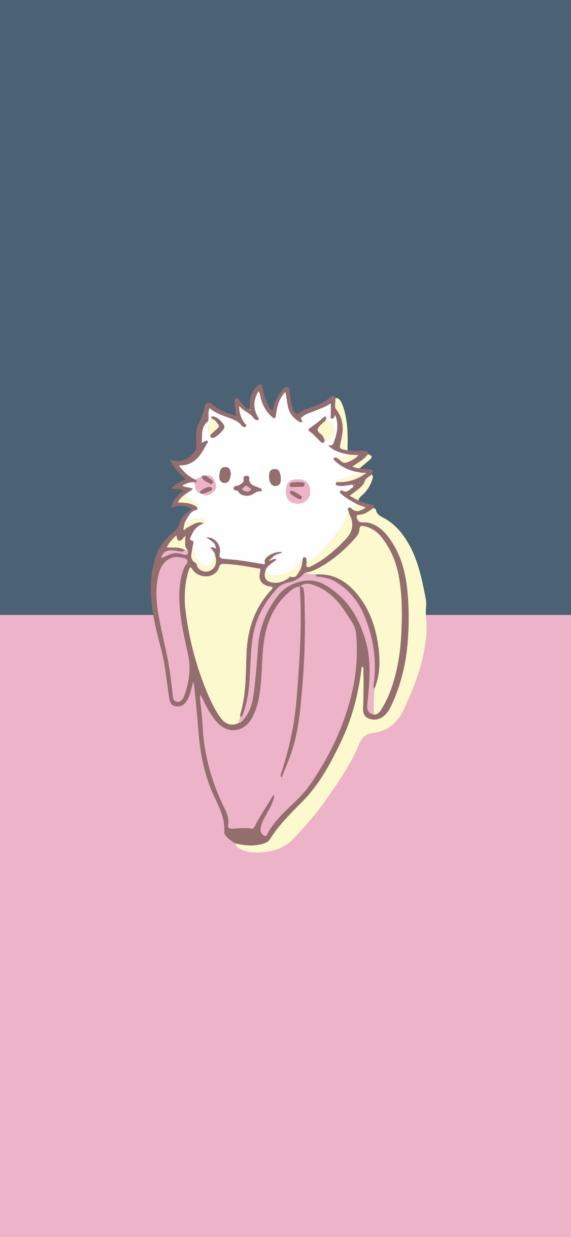 1125x2436 Cat Banana Wallpapers