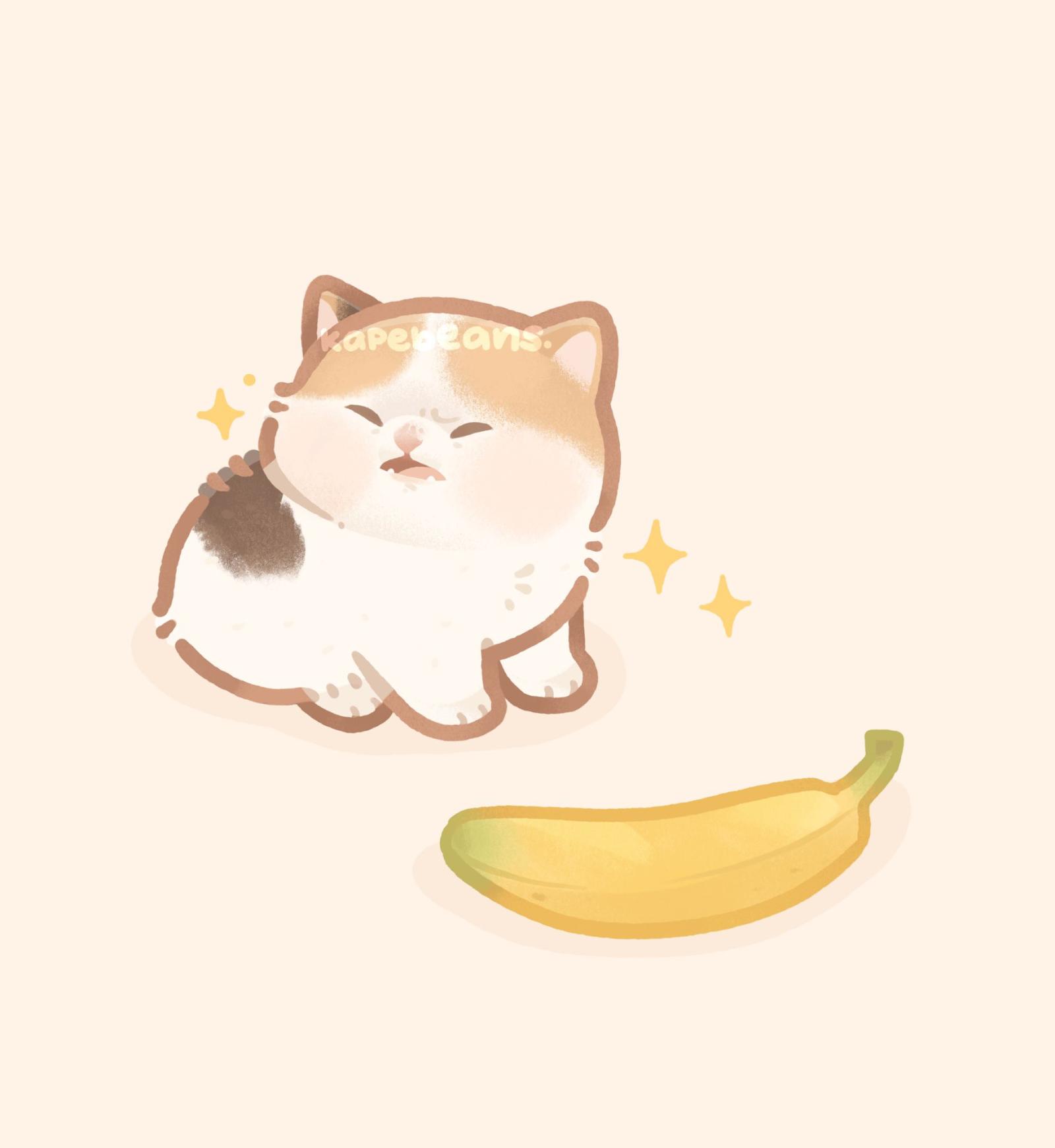 1840x2000 Cat Banana Wallpapers