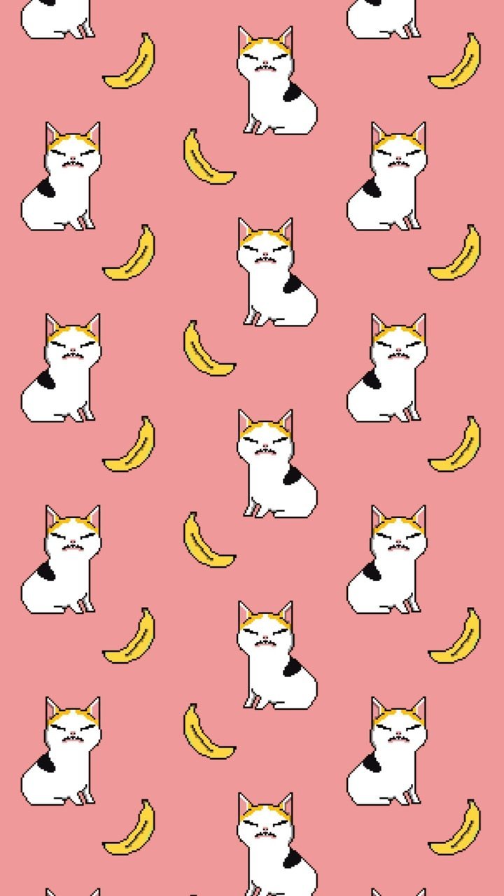 720x1280 Cat Yes Banana on Tumblr