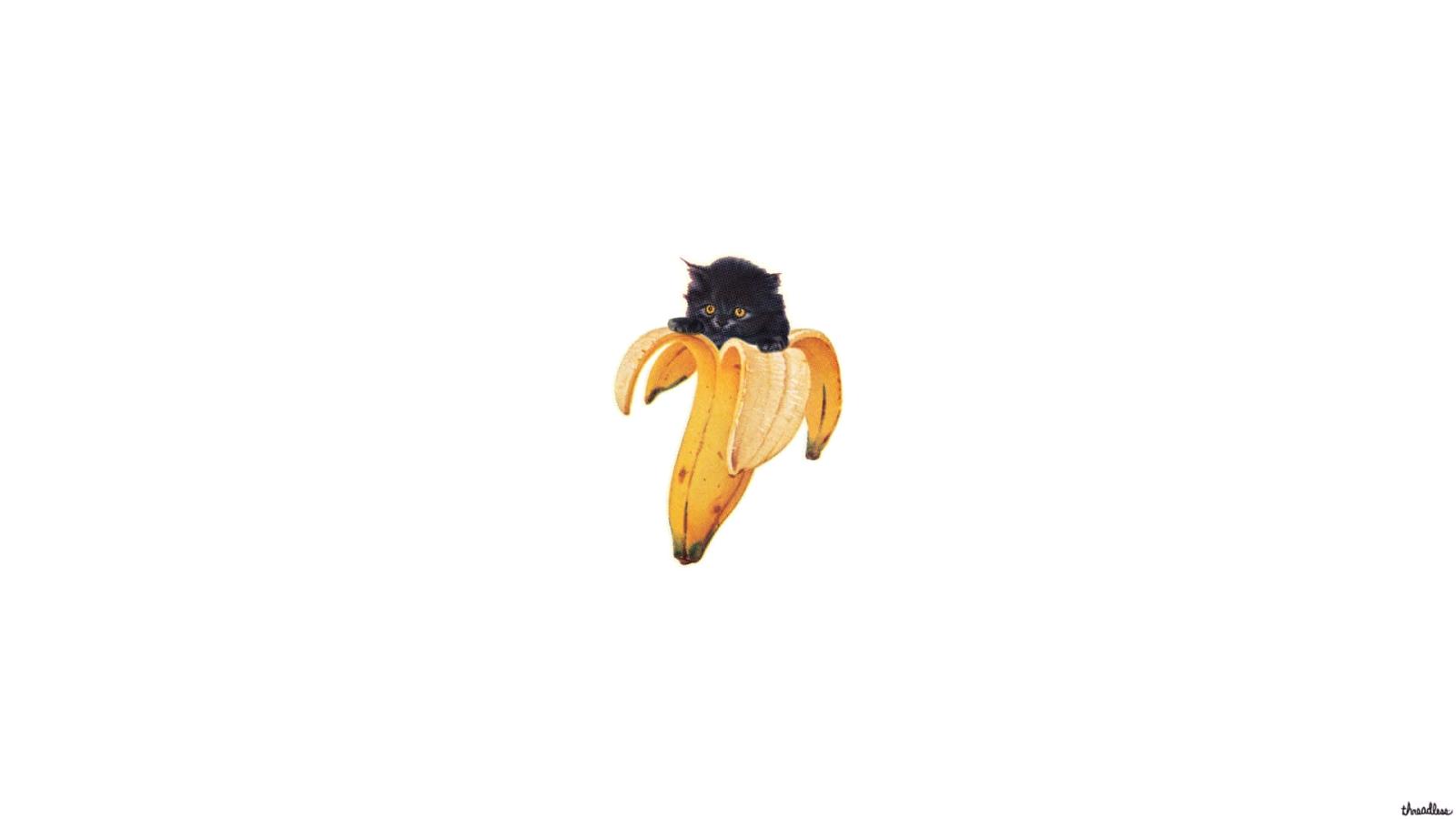 1920x1080 Funny Banana Black Cat Background