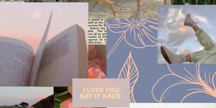 1080x1920 the summer i turned pretty wallpaper