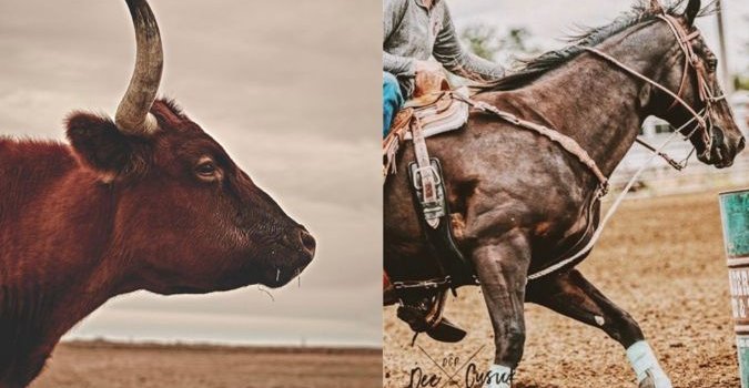 675x1200 cowgirl wallpaper aesthetic | Country