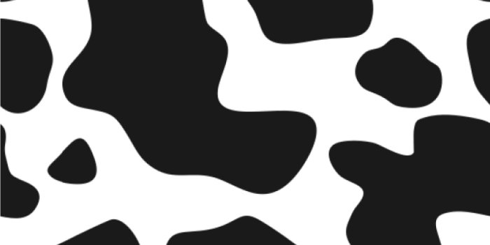 1500x1500 Custom Cowprint Cowgirl Wallpaper