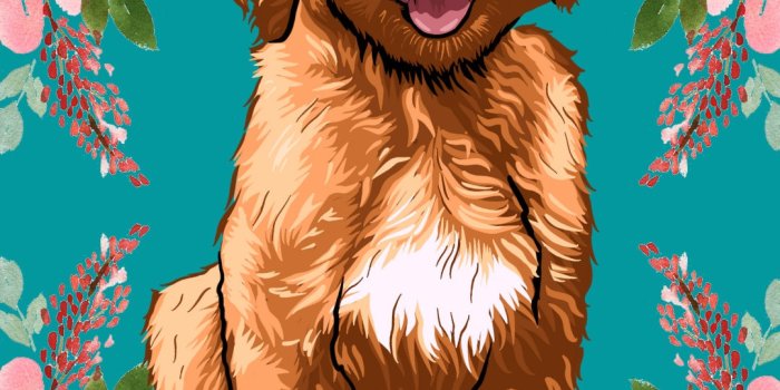 1080x1920 Floral Phone or Tablet Wallpaper - Etsy