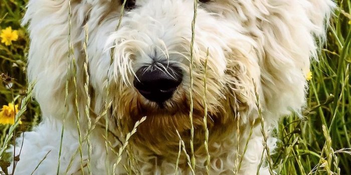 800x1420 Download wallpaper 800x1420