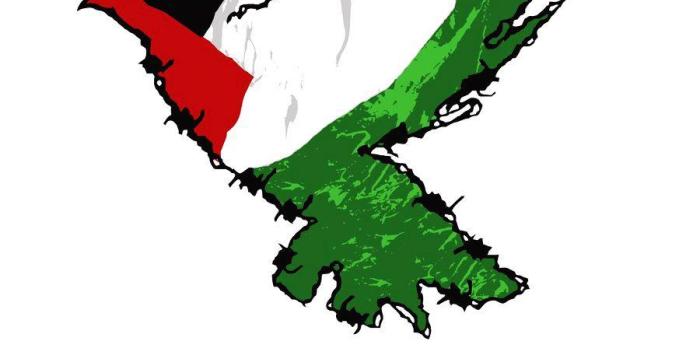 900x1273 Free Palestine Wallpapers HD
