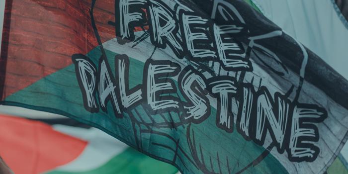 4000x6000 Palestinian Flags · Free Stock Photo