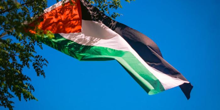 1125x750 Palestine Flags Waving behind Tree