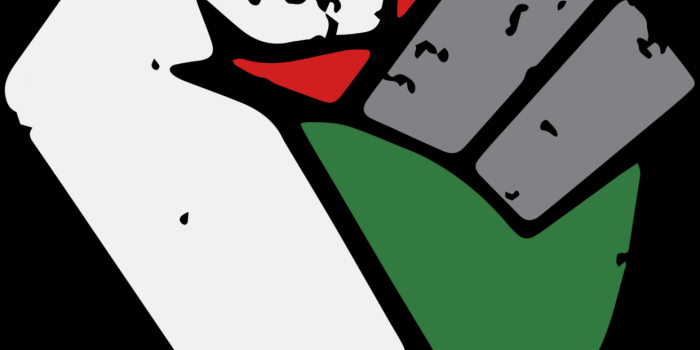 1242x2688 Free Palestine Fist 5K Wallpaper