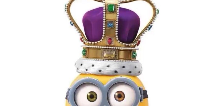 1080x1920 King Bob Wallpaper - EnJpg