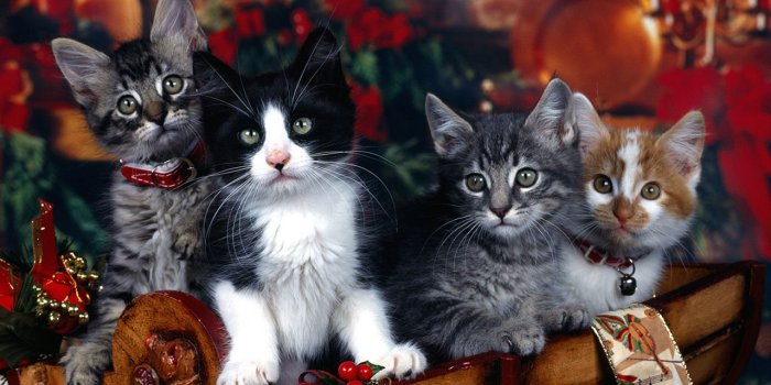 1280x800 desktop wallpaper Holiday Wallpapers